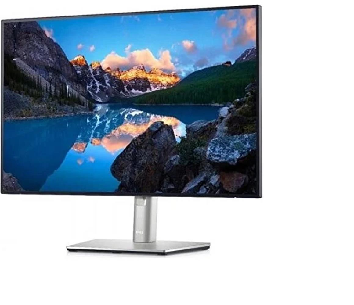 Dell 24.1