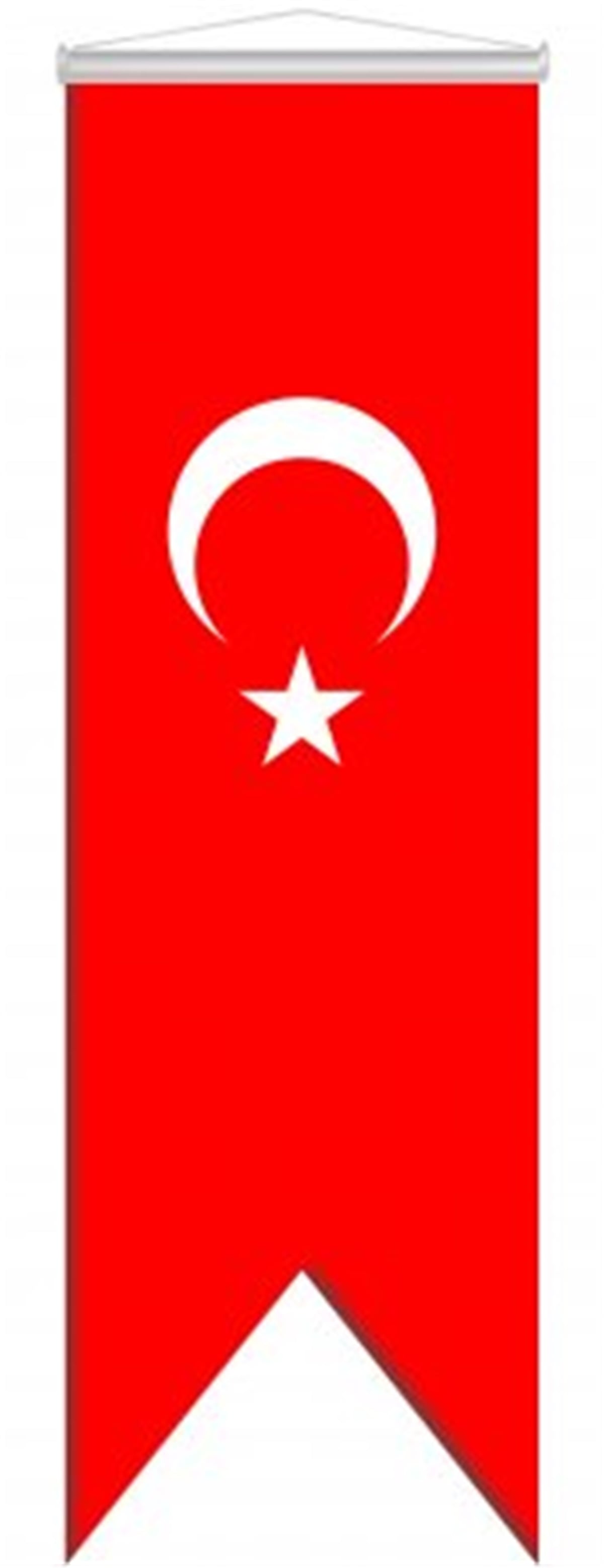 Aydın 70Cmx200Cm Kırlangıç Türk Bayrağı