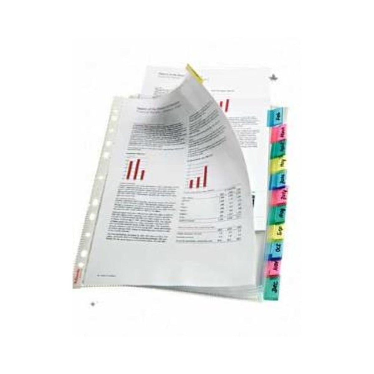 Esselte 414170 Poset Dosya Ayraçli 12 Sayfa