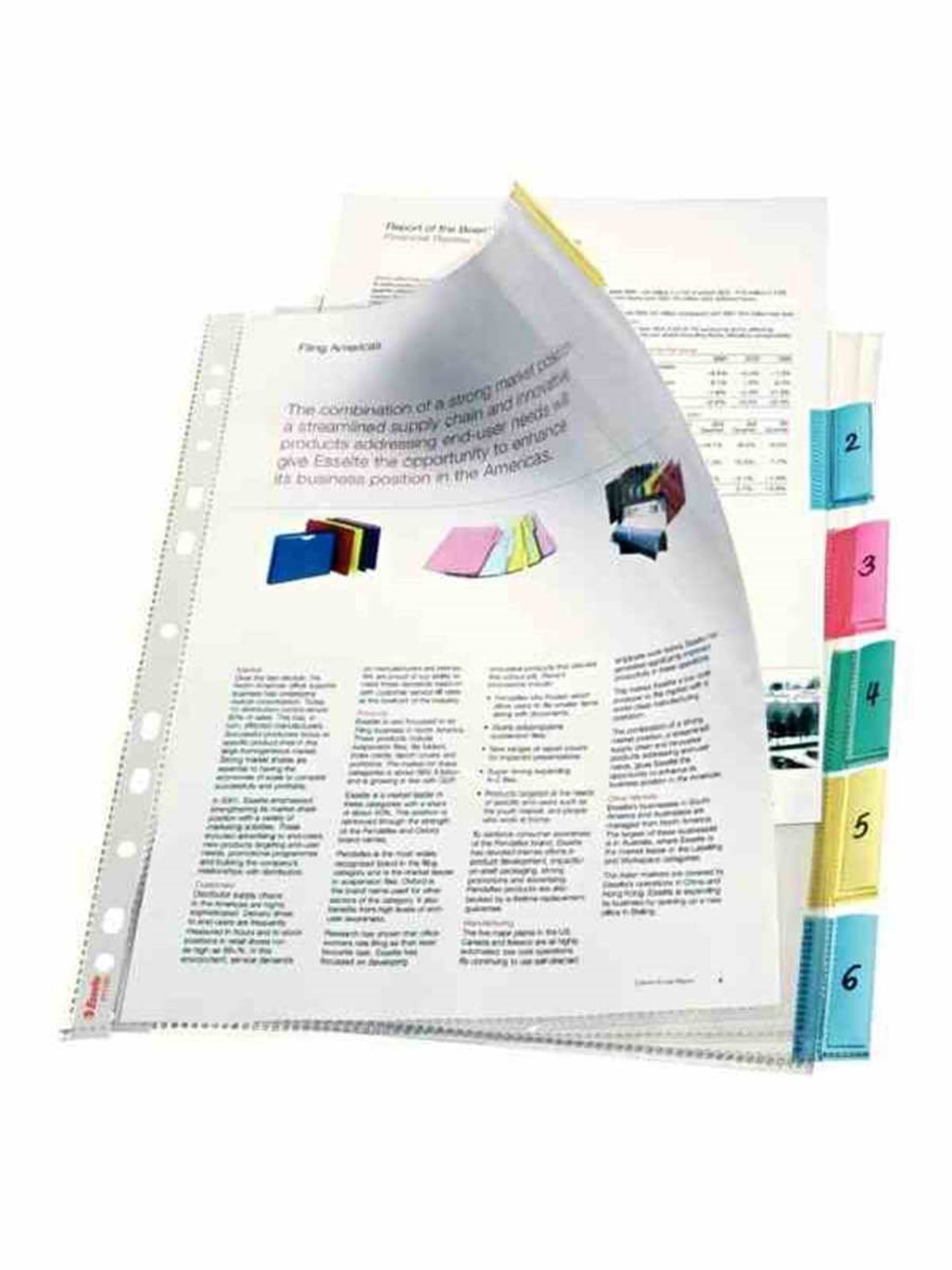 Esselte 414170 Poset Dosya Ayraçli 12 Sayfa