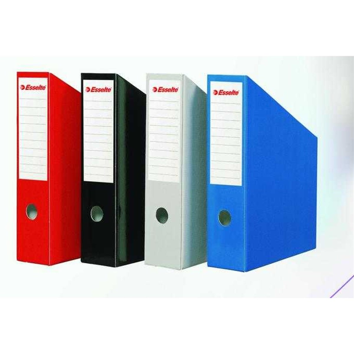 Esselte Slt-5276 Karton Magazinlik Mavi