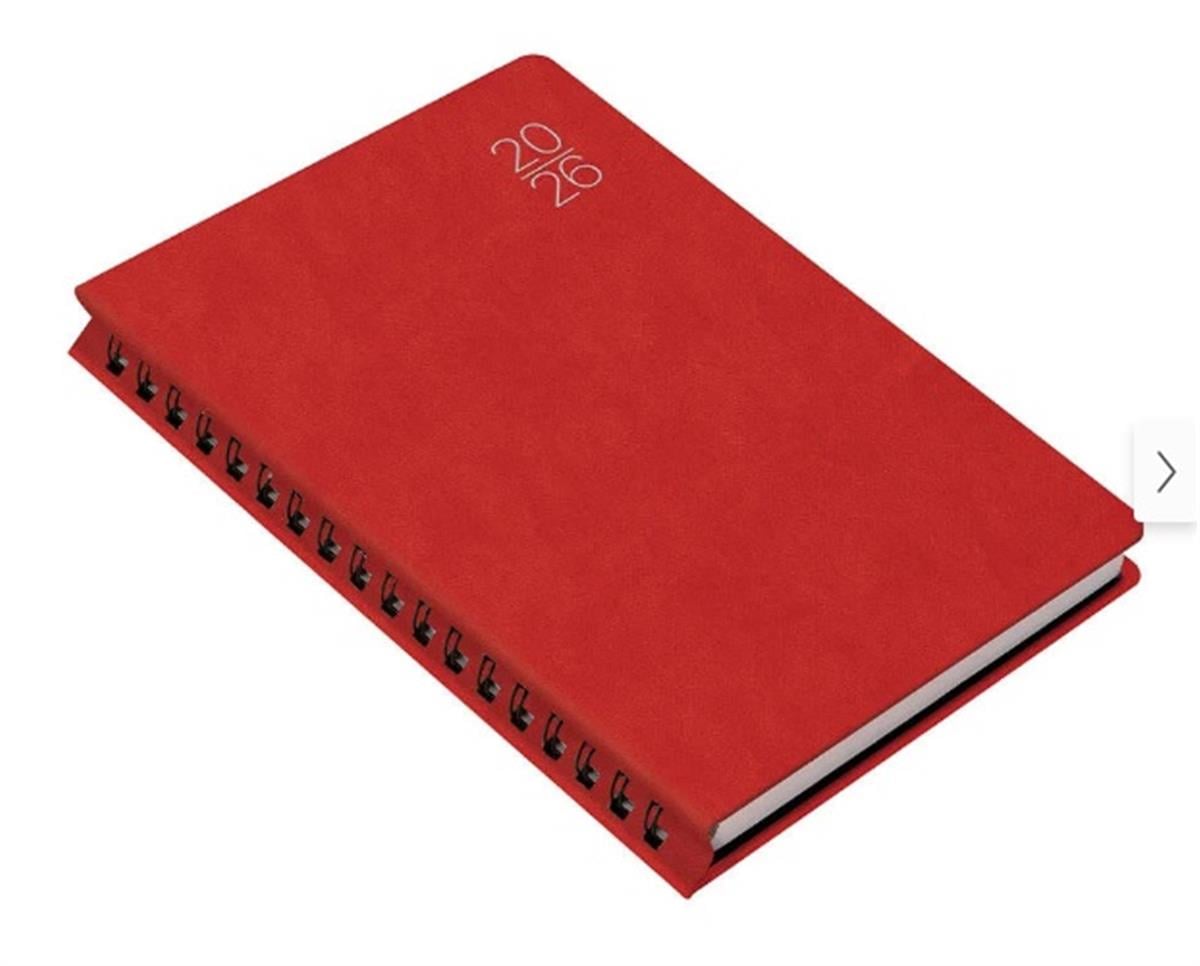 Gıpta 209-Fsk Günlük Ajanda Fox Diary 17x24 2026