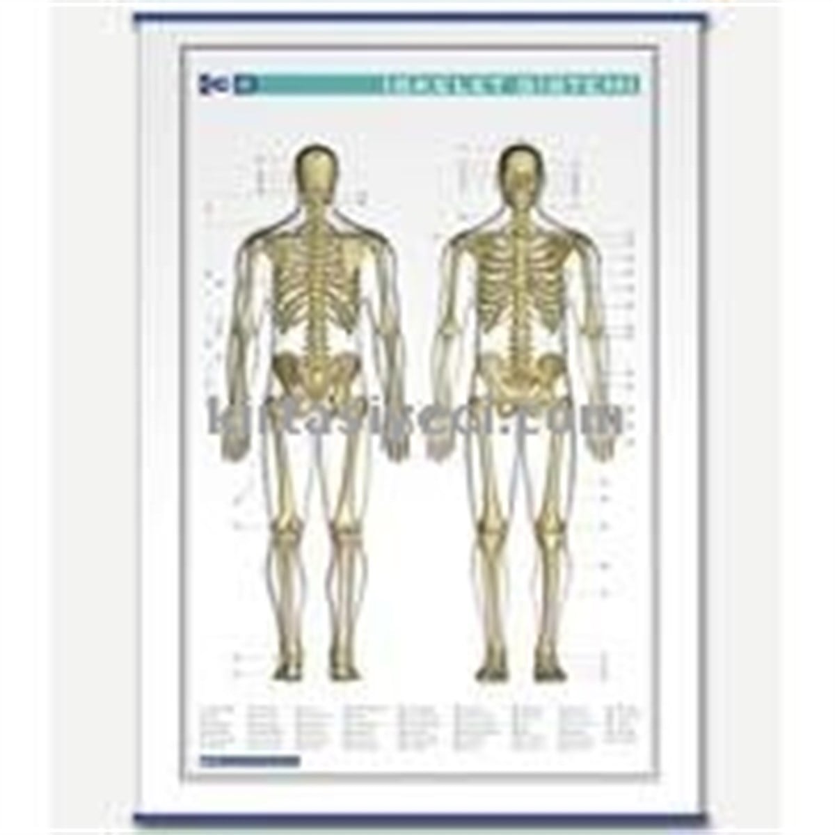 Gürbüz 31013 Iskelet Sistemi 70Cmx100Cm 