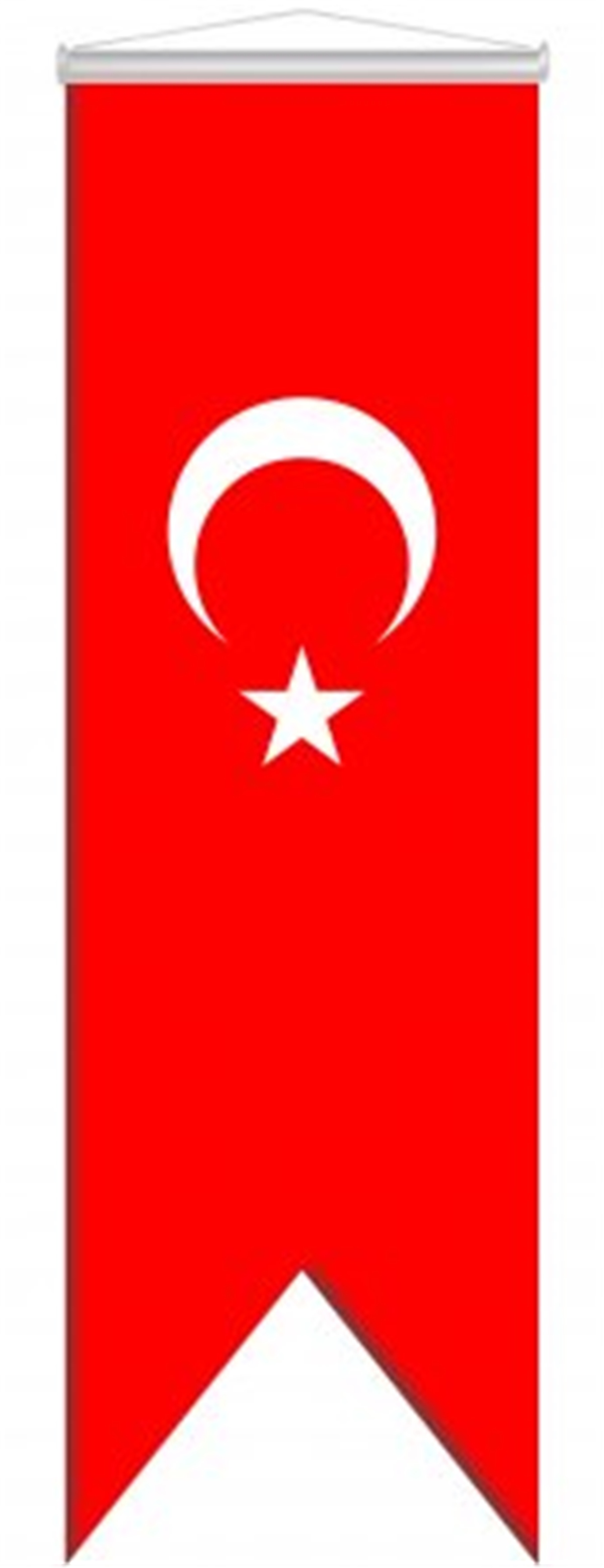 Aydın 70Cmx200Cm Kırlangıç Türk Bayrağı