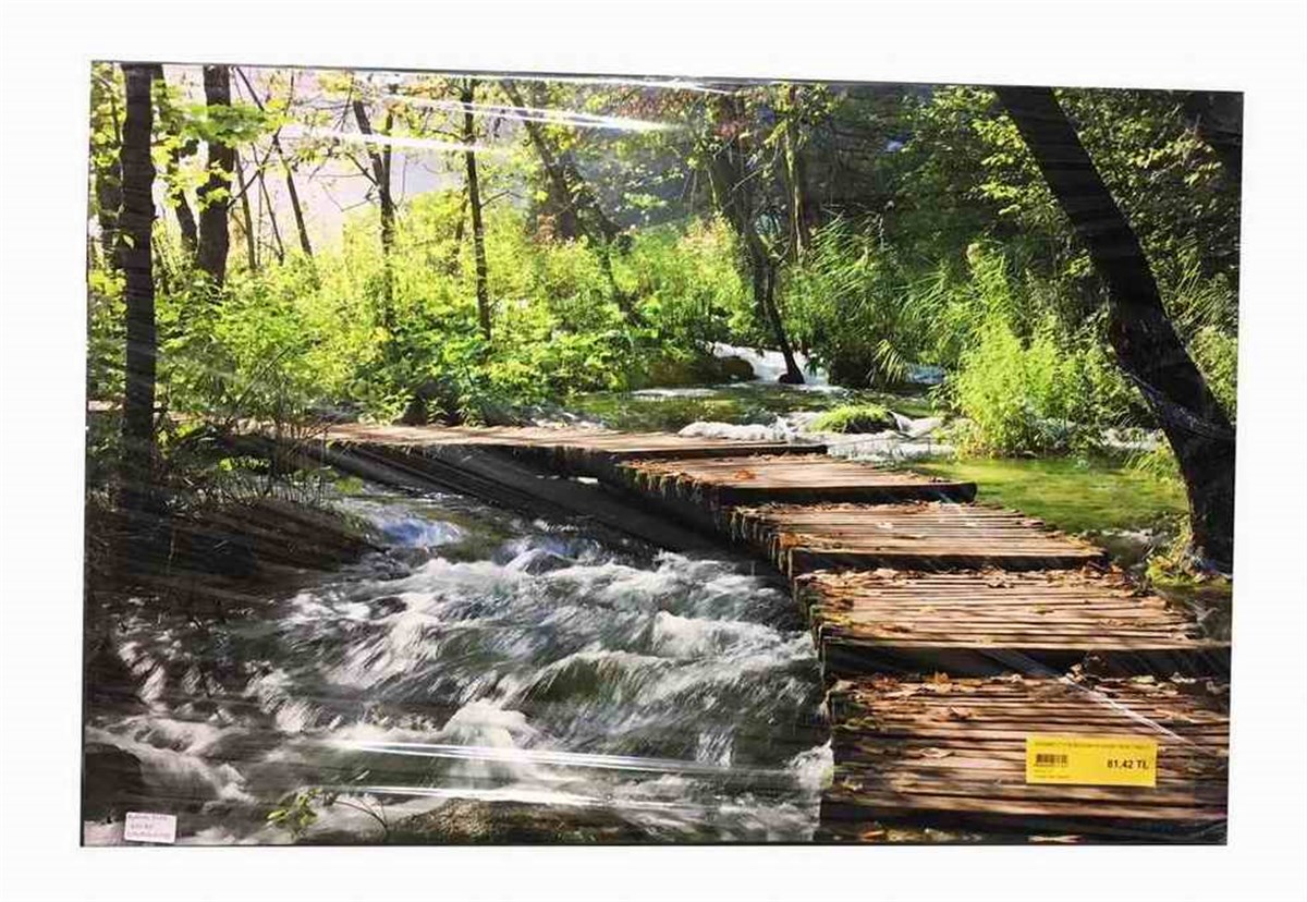 Aydinev 7179 Begonya 60X90 Deri Tablo