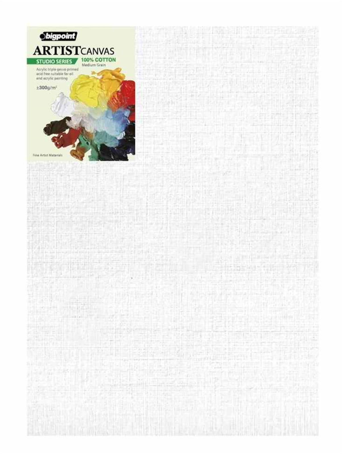 Bigpoint Bppe5308-2535 Studio Tuval 25X35 300Gr