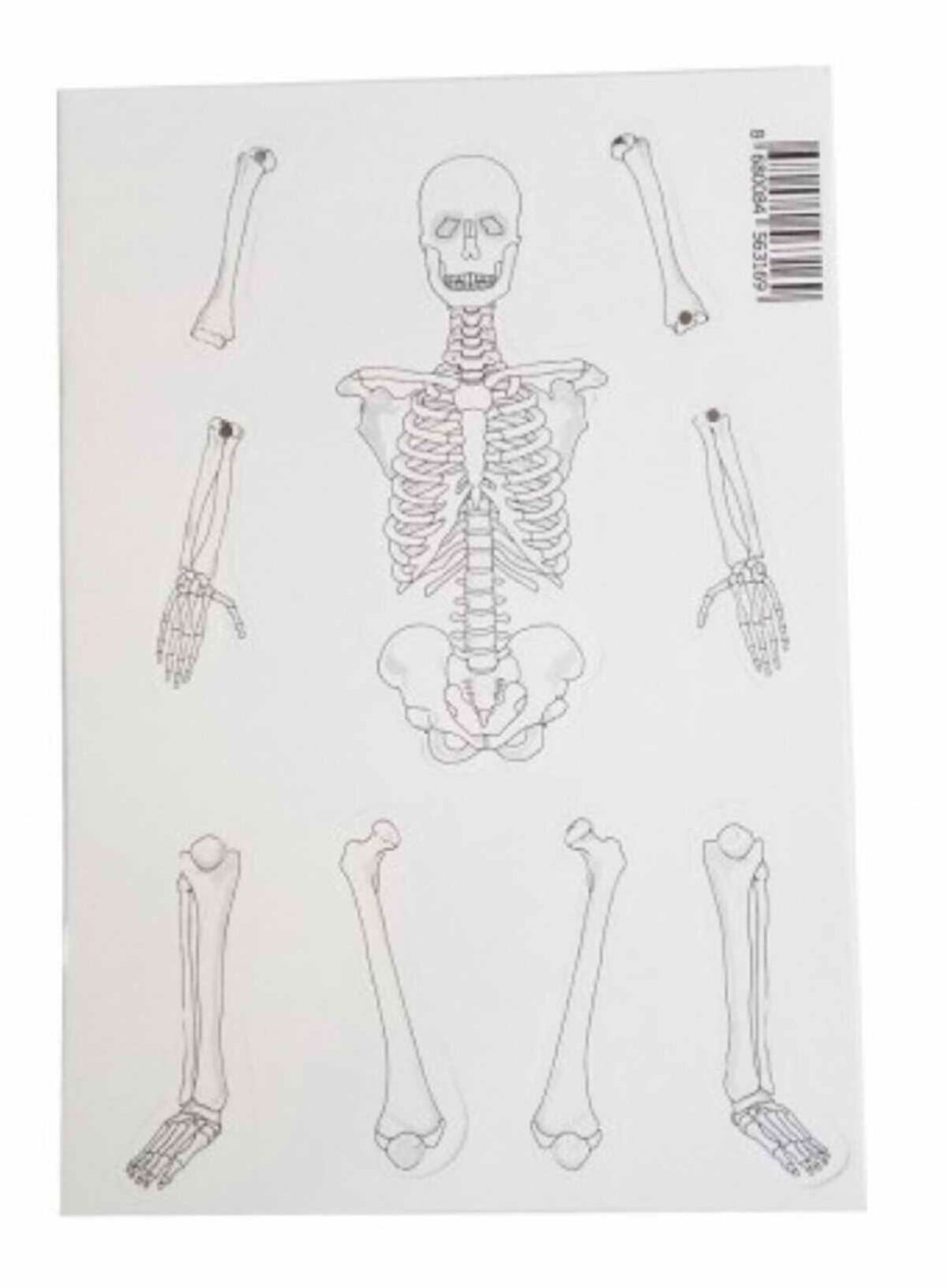 Bozkırlı Boz-1025 İskelet Sistemi