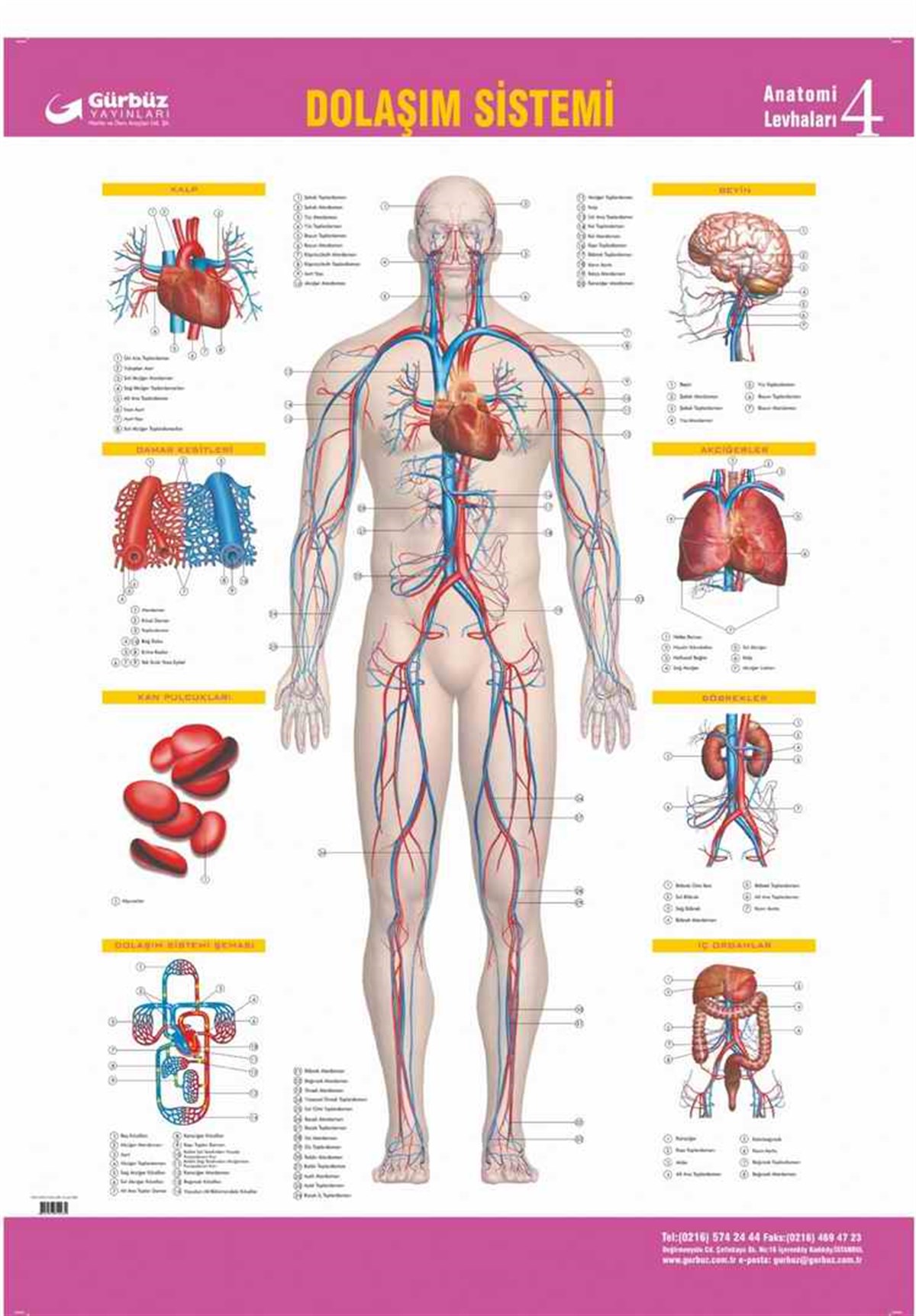 Gürbüz 31043 Dolasim Sistemi 70Cmx100Cm 