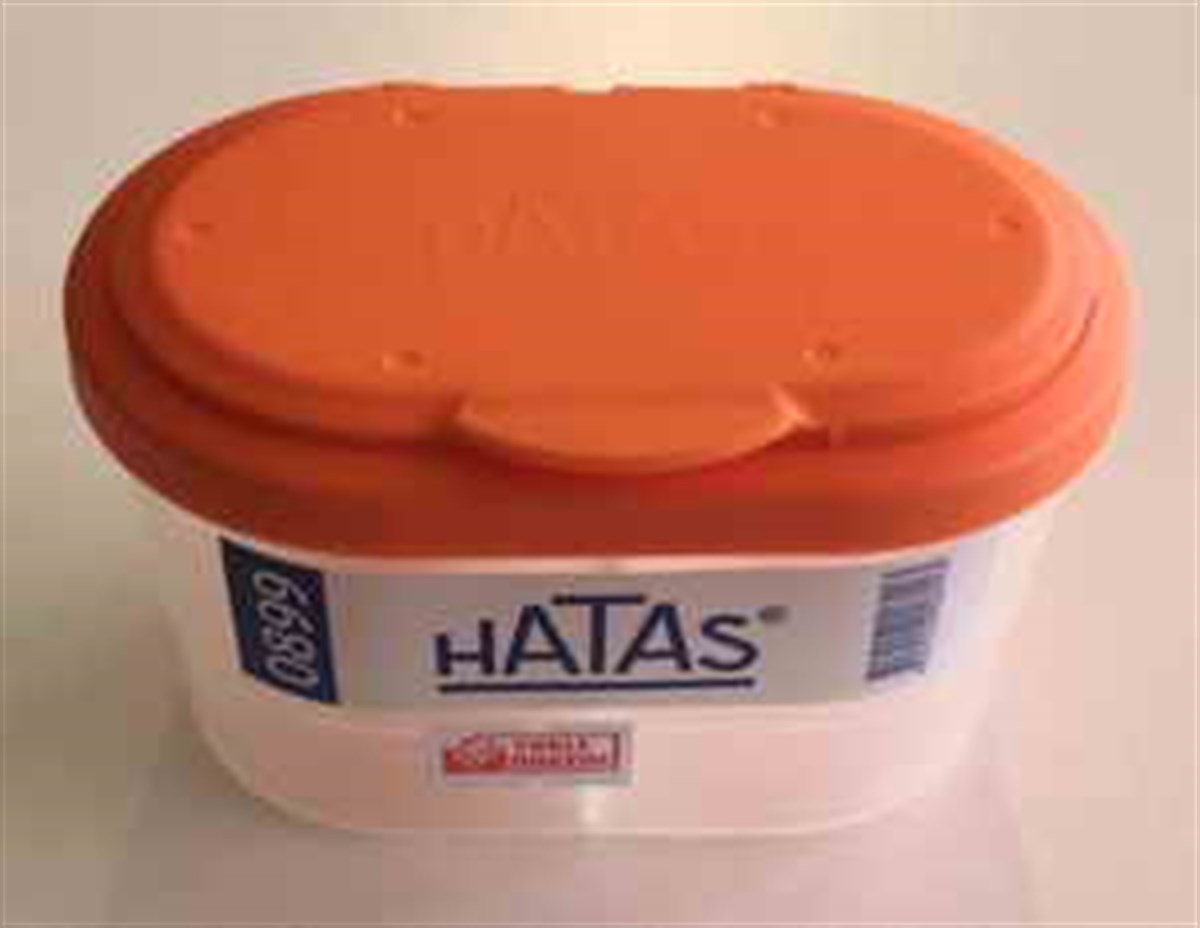 Hatas 0899 Firça Temizleme Kabi 2 Bölmeli
