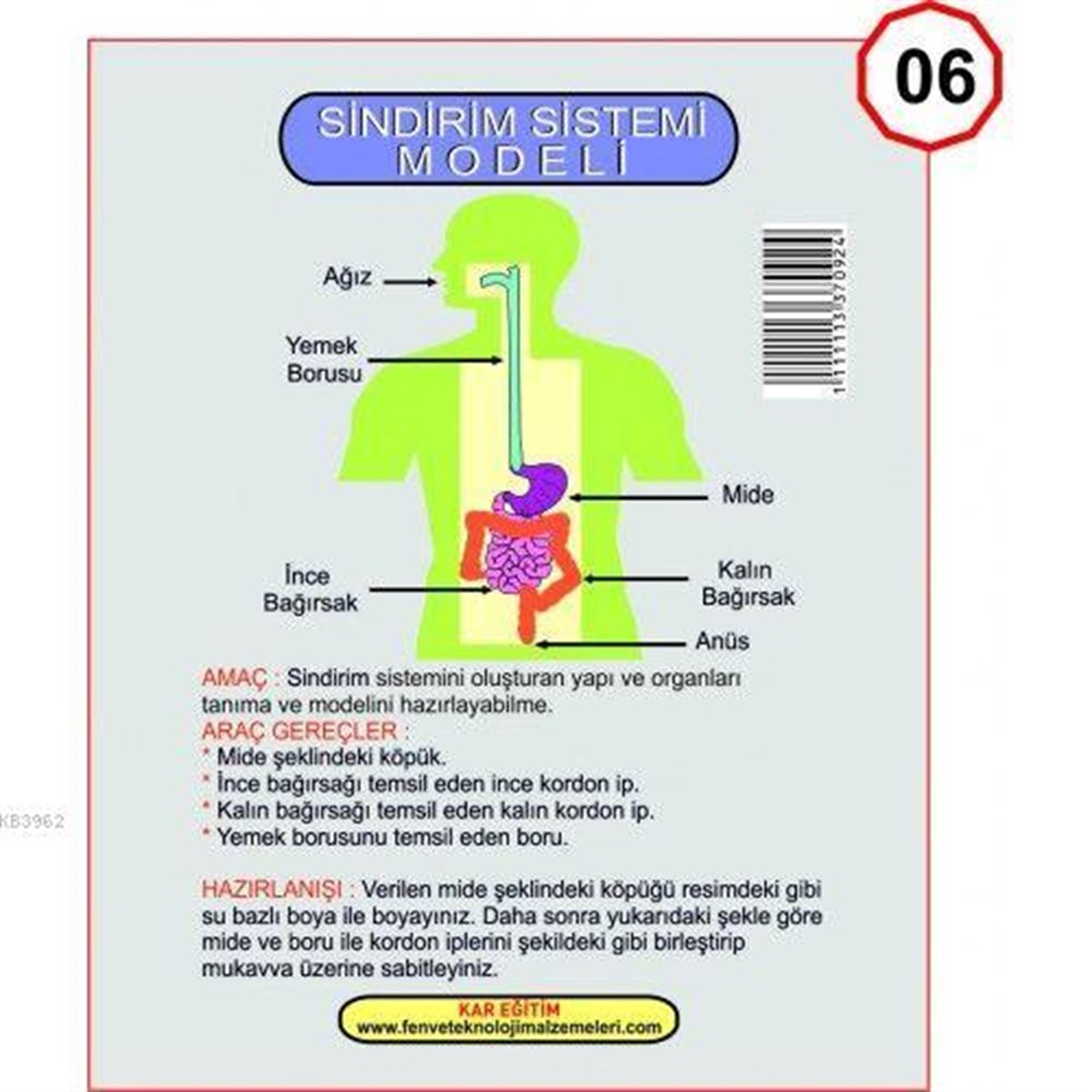 Kareeğitim Kar-1003 Sindirim Sistemi