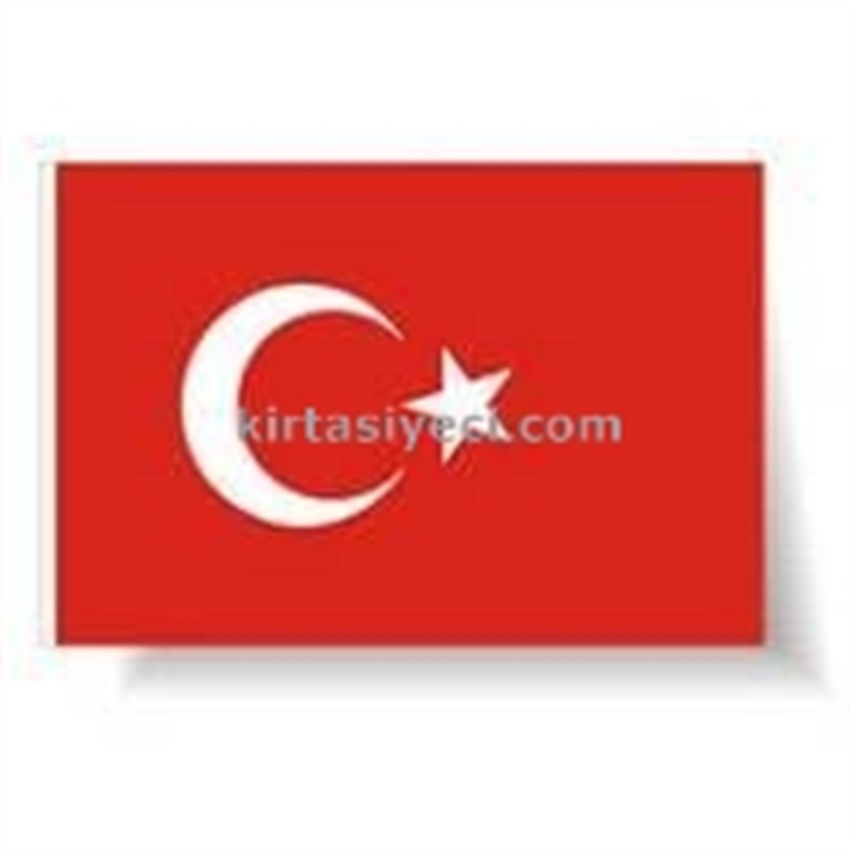 Seçkin 056 70Cmx105Cm Alpaka Türk Bayragi  