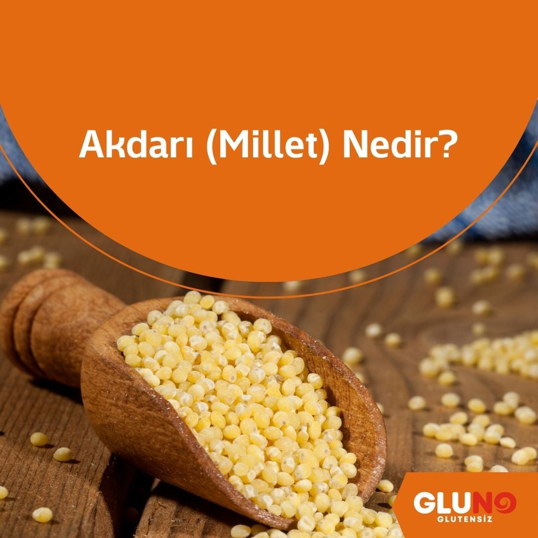 Akdarı (Millet) Nedir? Nasıl Kullanılır?