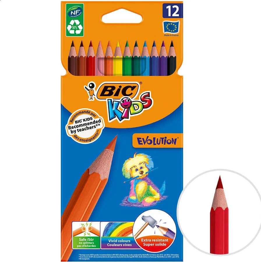  BİC TROPİCOLOR 12 Lİ KURU BOYA