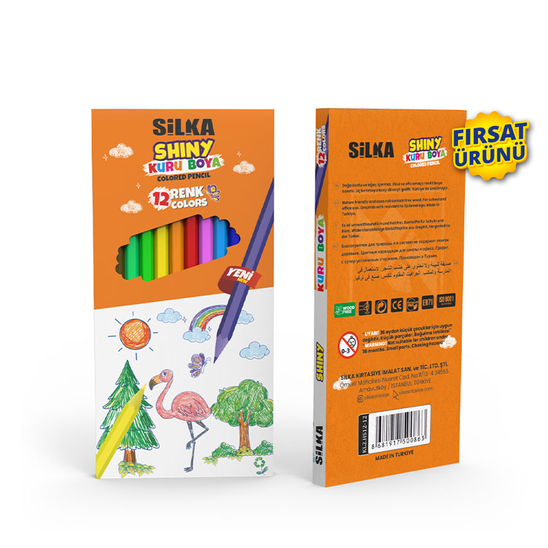  SİLKA SHİNE 12 RENK UZUN KURU BOYA