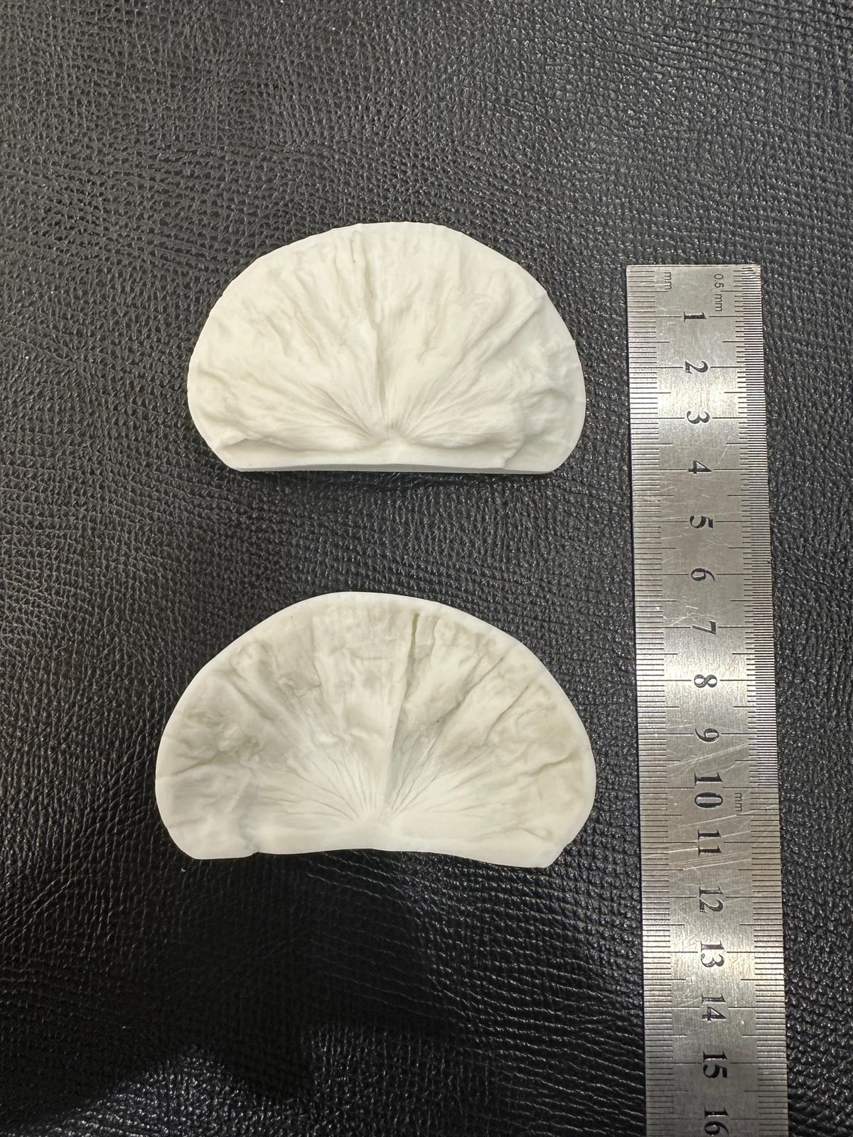 BT-7056 YAPRAK DAMARLAMA SİLİKON KALIP