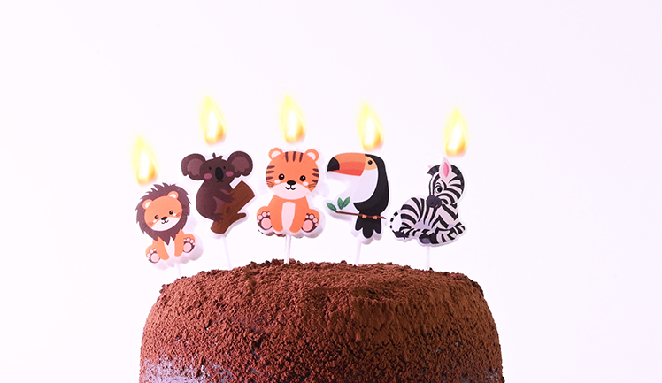 SAFARİ HAYVANLAR ŞEKİLLİ MUM 5 Lİ
 BALONEVİ