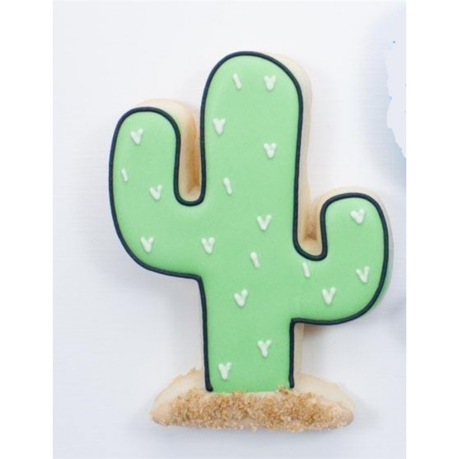 KAKTÜS CACTUS KALIBI