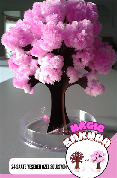 SİHİRLİ JAPON SAKURA AĞACI - 24 SAATTE YEŞEREN DEKORATİF BİTKİ SETİ - MAGIC TREE SAKURA VIOS-271