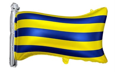 SARI LACİVERT BAYRAK FOLYO 0517 71X50 CM