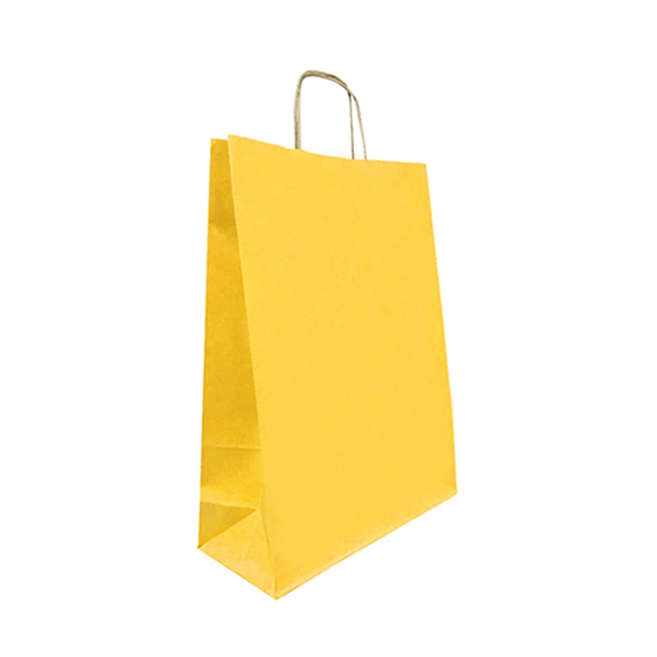 ÇANTA KRAFT 25X31X12 SARI