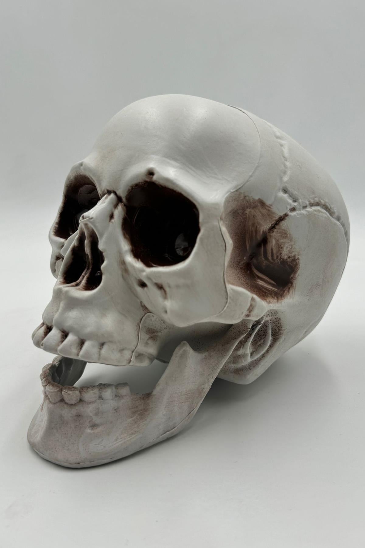 HALLOWEEN İSKELET KAFA BEYAZ BÜYÜK 15 CM BYS-165