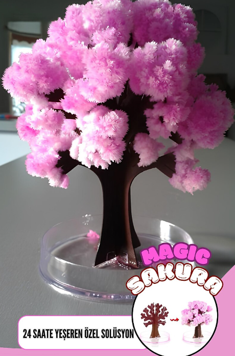 SİHİRLİ JAPON SAKURA AĞACI - 24 SAATTE YEŞEREN DEKORATİF BİTKİ SETİ - MAGIC TREE SAKURA VIOS-271