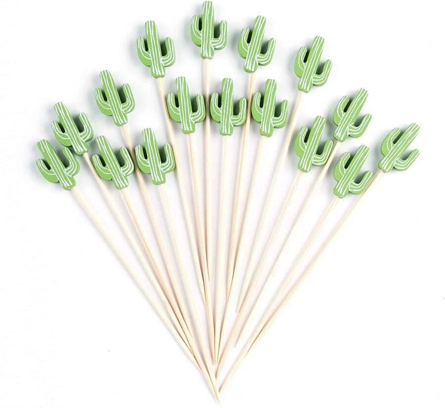 BAMBU KAKTÜS KÜRDAN 12 Lİ