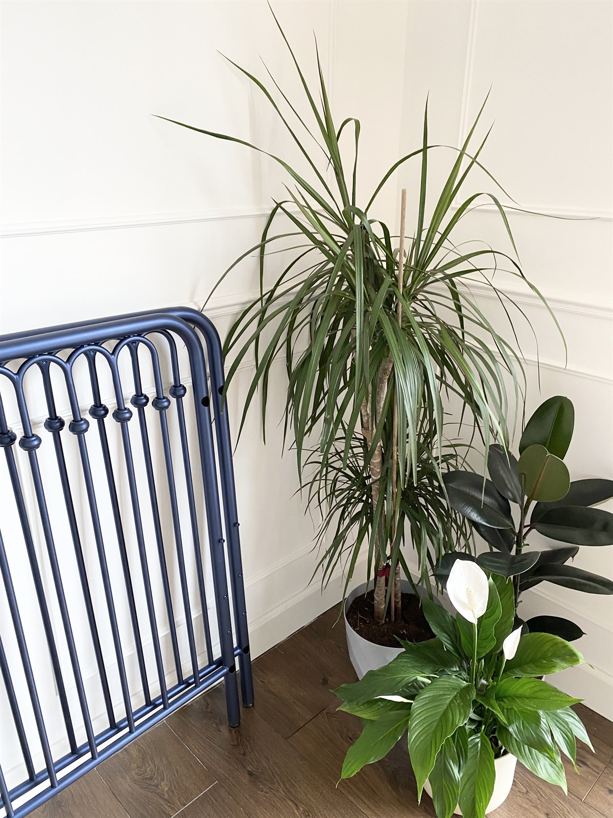 Alula Lacivert Beşik