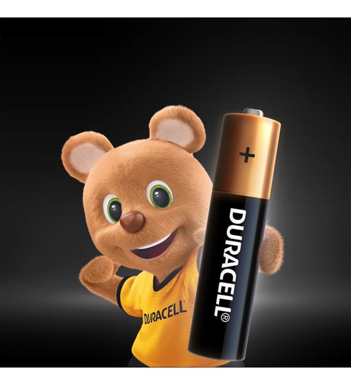 Duracell Turbo Aaa Battery 12 pcs. + With Teddy Bear Gift-LeylekKapida.com