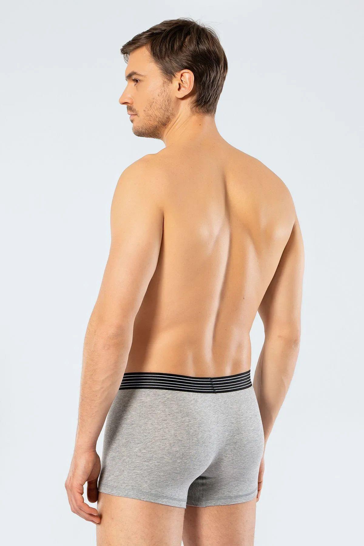 Cacharel 1318 İkili Boxer - Gri Melanj