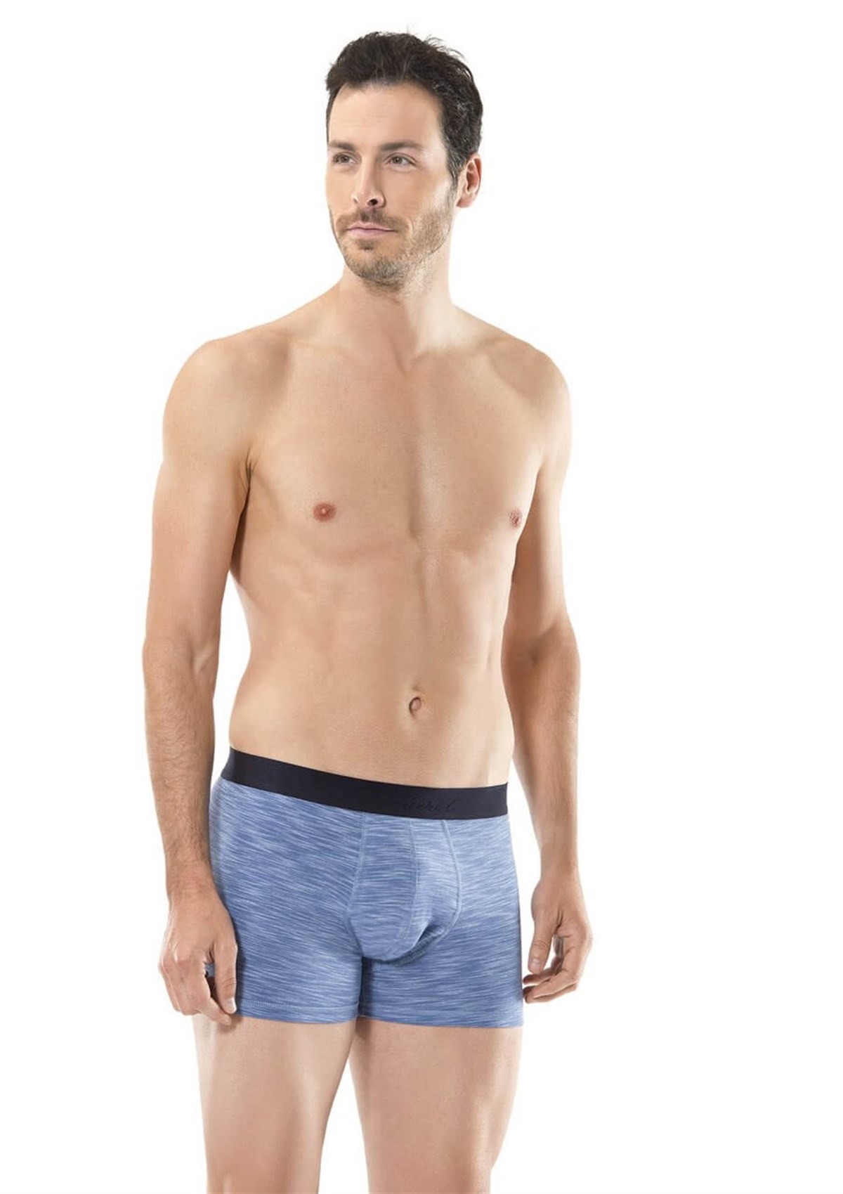 Cacharel 1324 İkili Boxer - Lacivert/İndigo