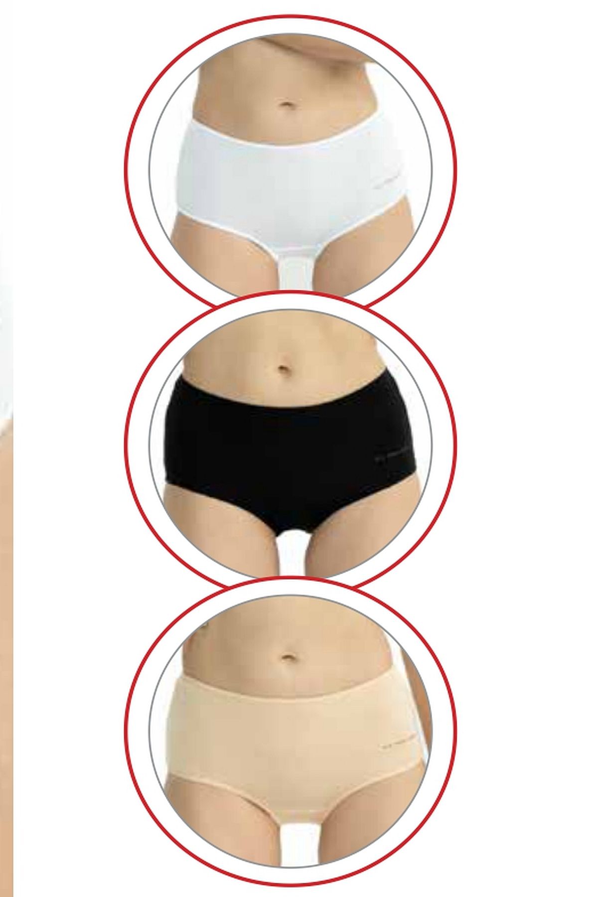 U.s Polo Assn. 67008 Kadın Yüksek Bel Pamuklu 3lü Külot-Siyah&Beyaz&Ten