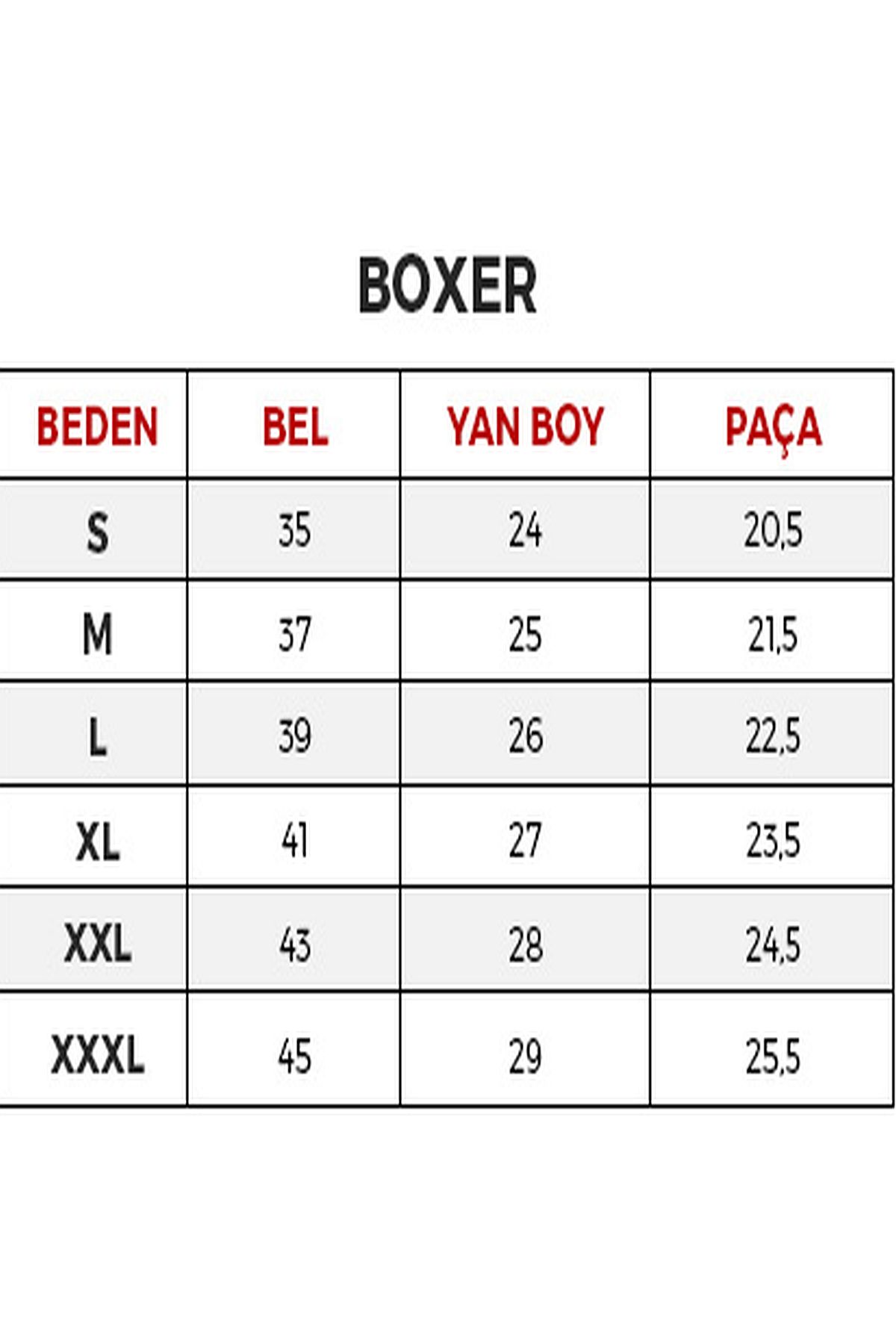 U.s Polo Assn. 80481 Erkek Modal Boxer-Bordo