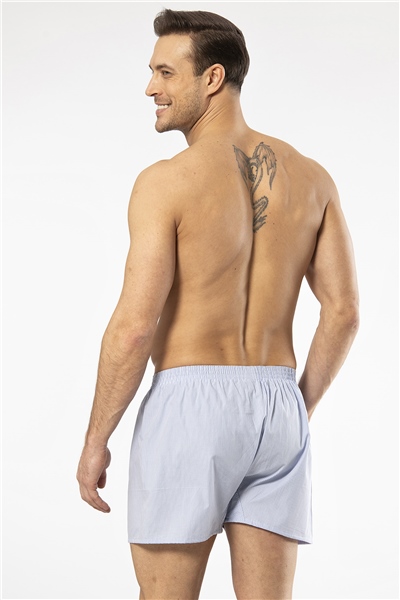 Cacharel 1113 Erkek Poplin Boxer-Açıkmavi