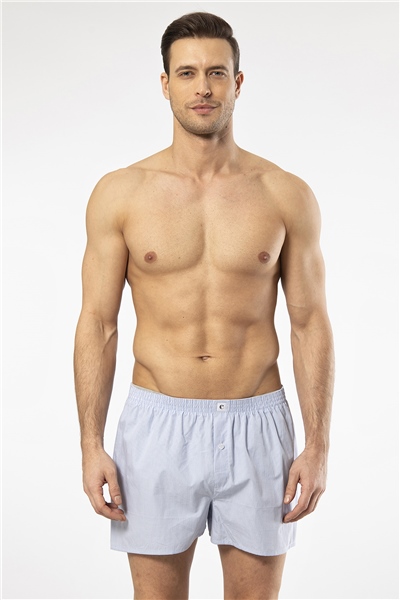 Cacharel 1113 Erkek Poplin Boxer-Açıkmavi