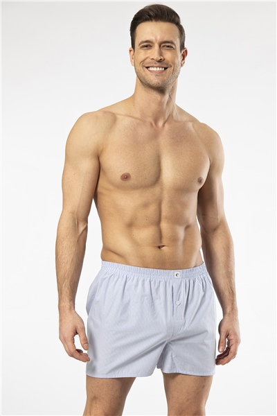 Cacharel 1113 Erkek Poplin Boxer-Açıkmavi
