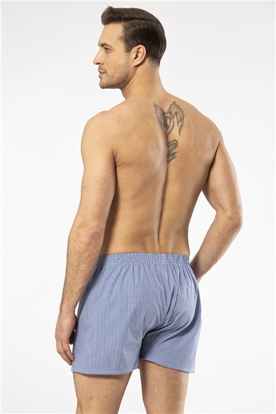 Cacharel 1113 Erkek Poplin Boxer-Mavi