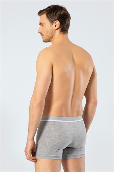 Cacharel 1315 Boxer - Gri Melanj