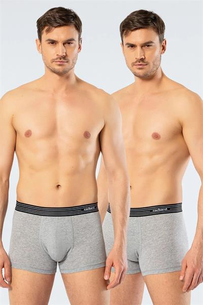 Cacharel 1318 İkili Boxer - Gri Melanj