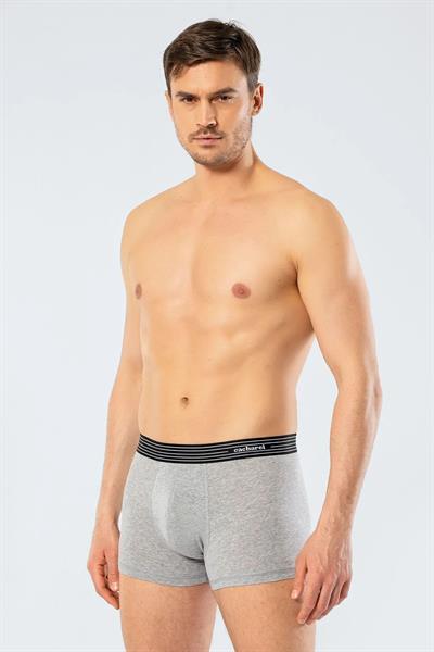 Cacharel 1318 İkili Boxer - Gri Melanj