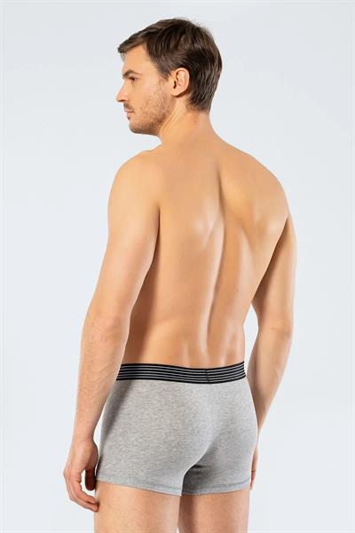 Cacharel 1318 İkili Boxer - Gri Melanj