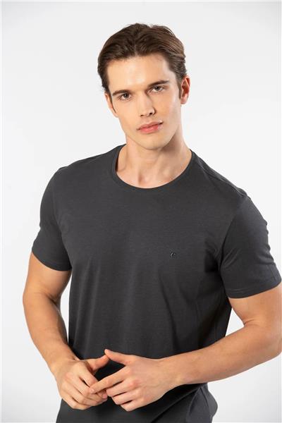 Cacharel 2169 Erkek Modal Pamuk Bisiklet Yaka Kısa Kollu T-shirt-Antrasit