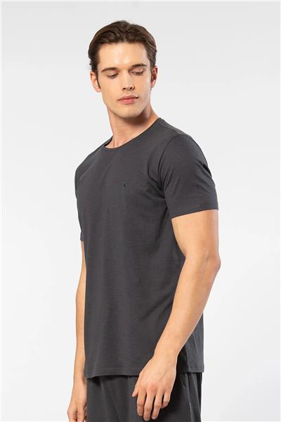 Cacharel 2169 Erkek Modal Pamuk Bisiklet Yaka Kısa Kollu T-shirt-Antrasit