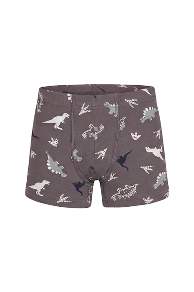 İlke 344 Erkek Çocuk 12li Desenli Boxer-Desenli