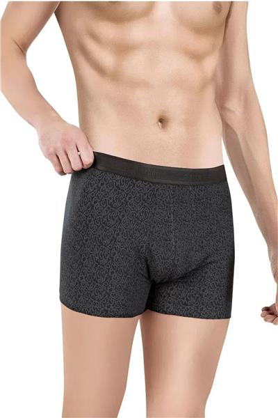 Pierre Cardin 366 Erkek Modal 3lü Boxer-Mix