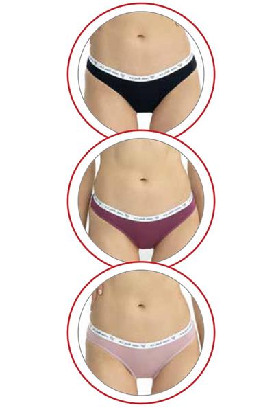 U.s Polo Assn. 66436 Kadın Karışık Desen Pamuklu 3lü Slip Külot-Gülkurusu