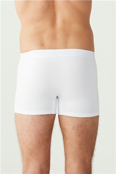 U.s Polo Assn. 80173 Erkek 3 Lü Boxer-Beyaz
