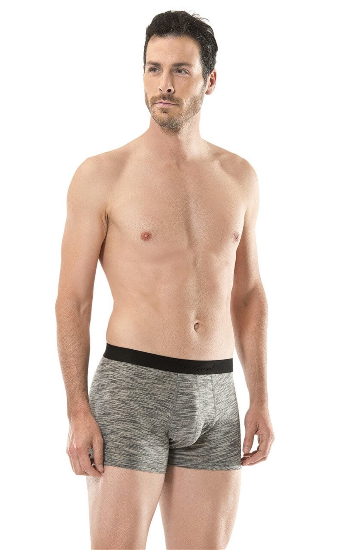 BoxerCacharel 1324 İkili Boxer - Gri/Siyah