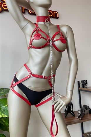 Kırmızı Deri Tasma Detaylı Şık Harness Takım