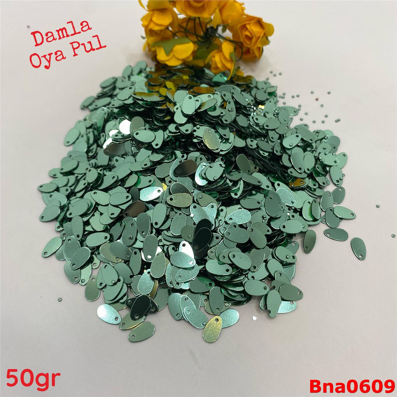R-451 Oya Pulları